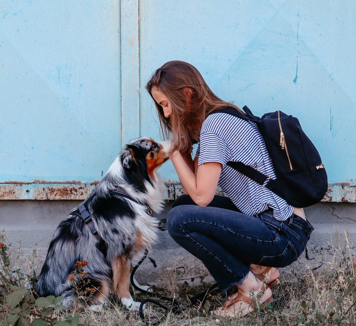 fenya-mit-mir-teach-and-tails